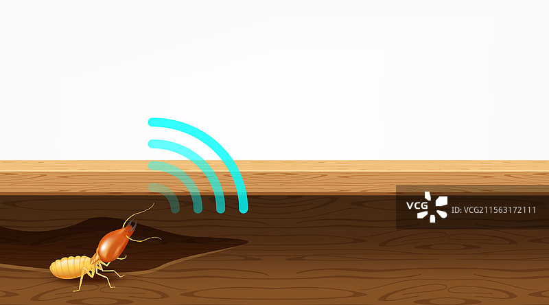 木材中的白蚁巢穴和声波符号图片素材
