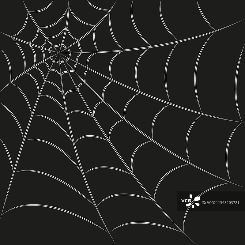黑暗中孤立的蜘蛛网图片素材