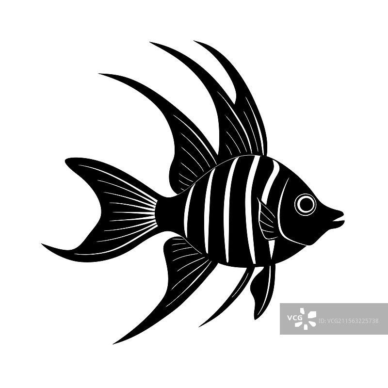 班盖神仙鱼剪影艺术与黑色图片素材
