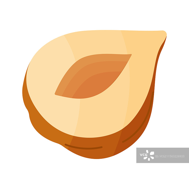 去壳的半颗榛子卡通图像图片素材