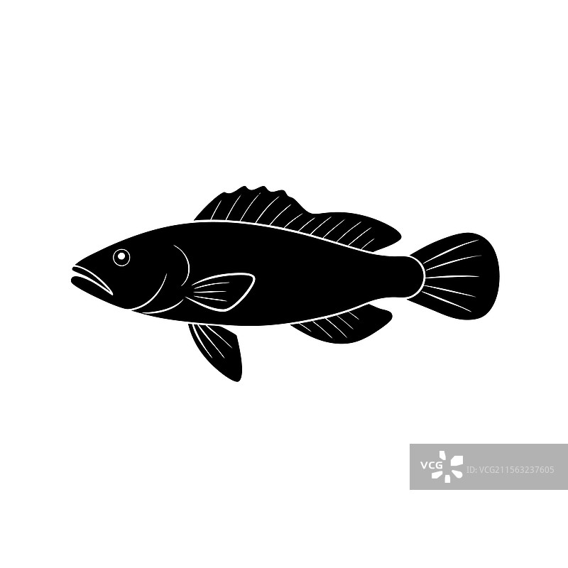 龙鱼轮廓艺术与黑色图片素材