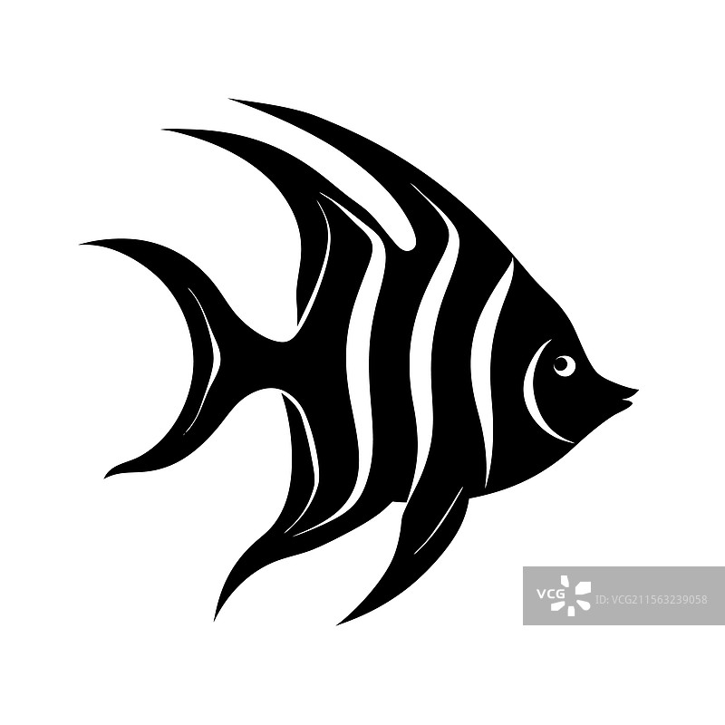 火焰天使鱼剪影艺术与黑色图片素材