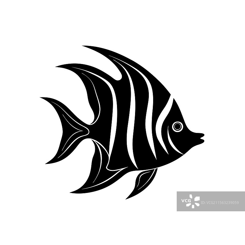 火焰天使鱼剪影艺术与黑色图片素材