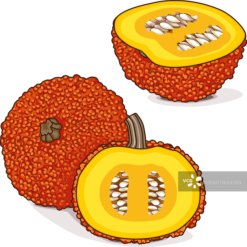 切开的红色疣状南瓜剪贴画图片素材