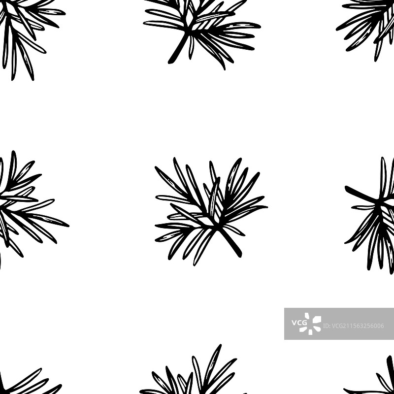 松枝无缝图案图片素材