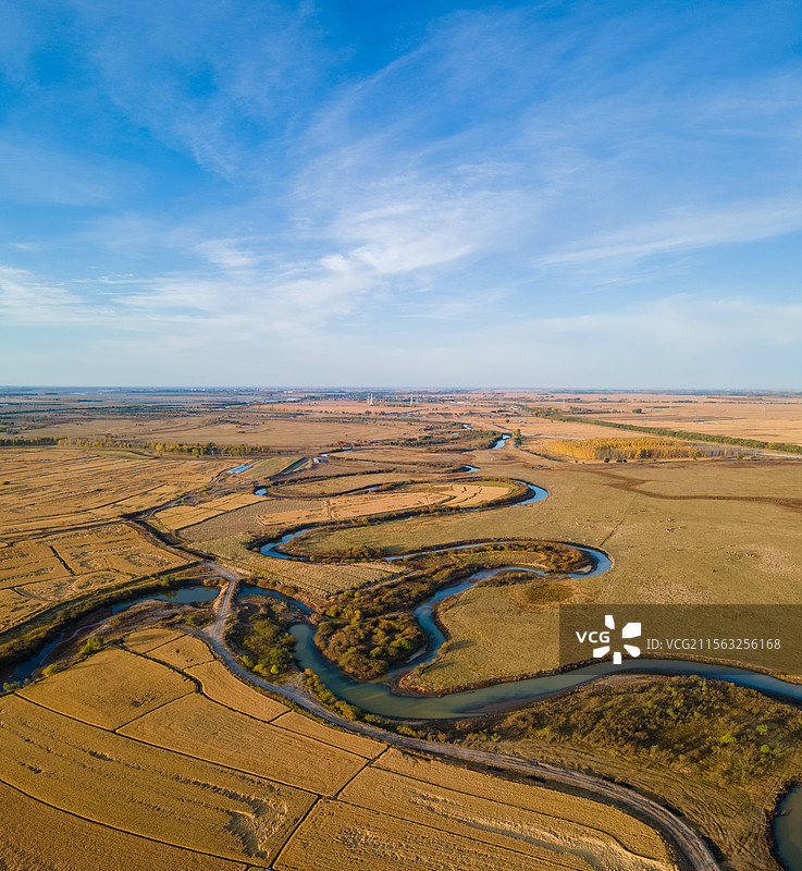 黑龙江省齐齐哈尔市音河秋天水稻田航拍图片素材