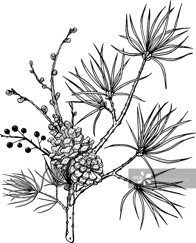 松林花束组合图片素材