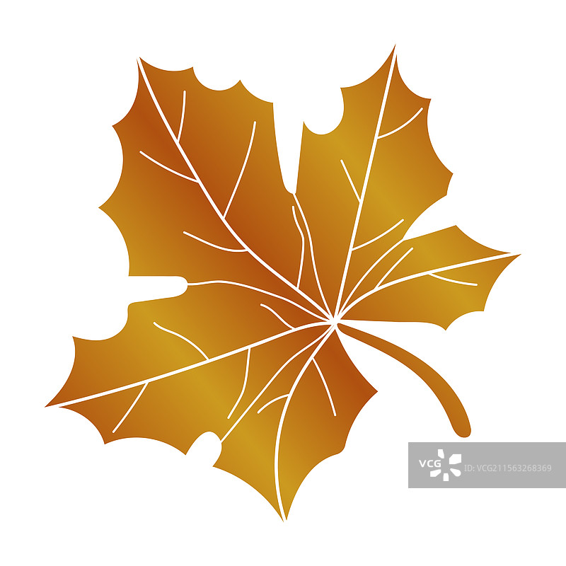 秋天的红枫叶图片素材