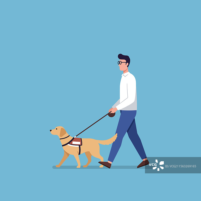 在蓝色背景下牵着导盲犬的男人图片素材