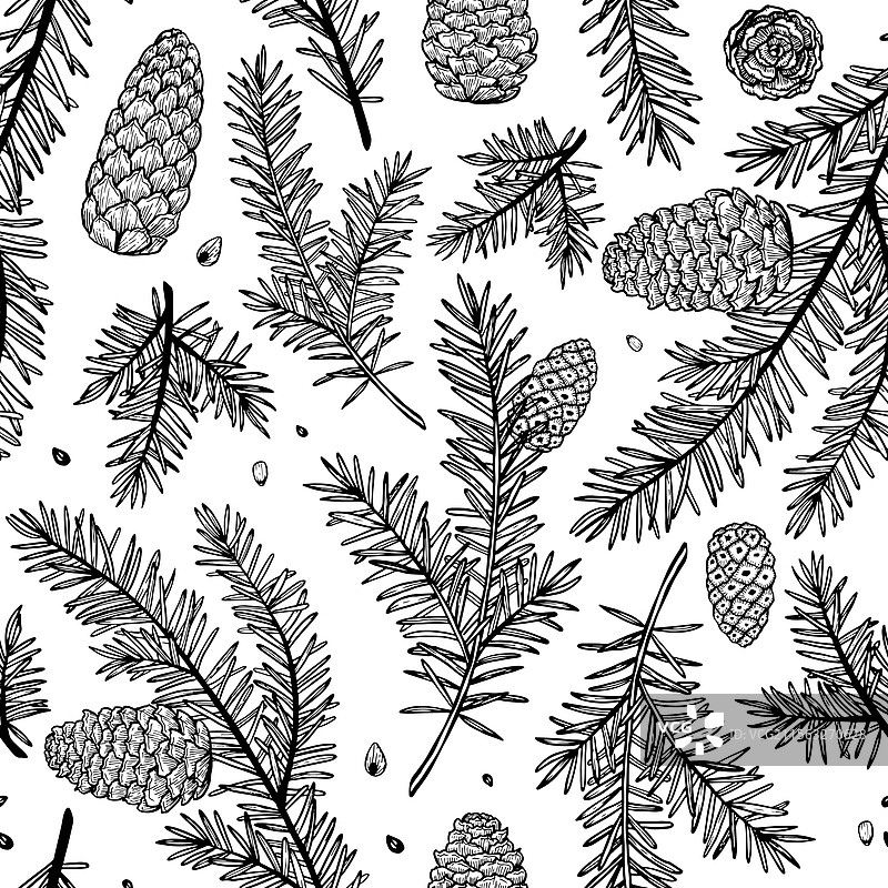 松枝无缝图案图片素材