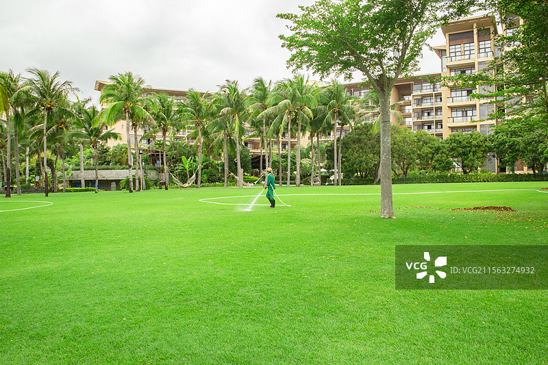 热带度假酒店的草坪浇水维护图片素材