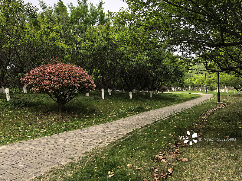 《金斗公园》—— 合肥滨湖广西路金斗公园图片素材