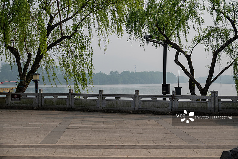 富春江杨柳依依图片素材