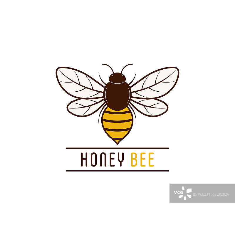 蜜蜂标志设计模板，飞翔的蜜蜂图片素材
