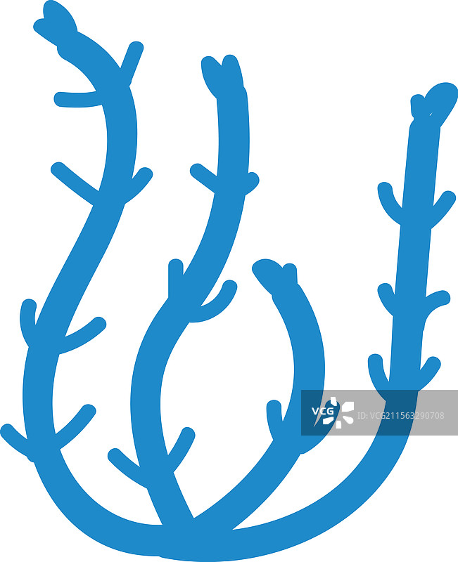海藻海洋植物图片素材