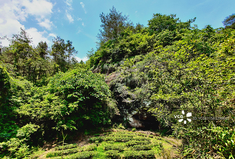 武夷山-白云禅寺图片素材
