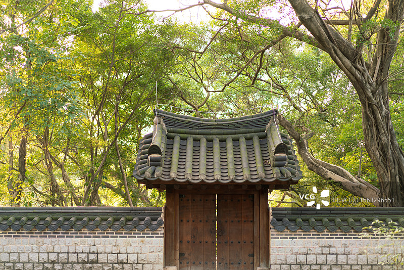 广州越秀公园里的韩国园图片素材