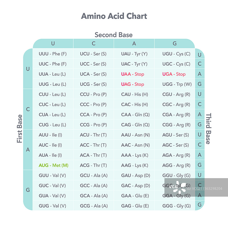 aa 图表图片素材
