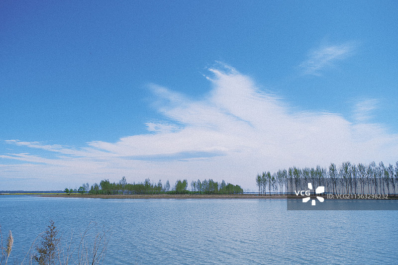 春天天空背景。蓝天白云。绿树树林。自然风光背景图图片素材