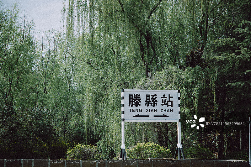 微山湖红荷湿地图片素材