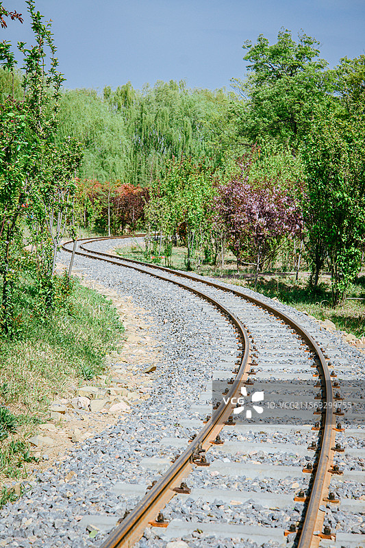 微山湖红荷湿地图片素材