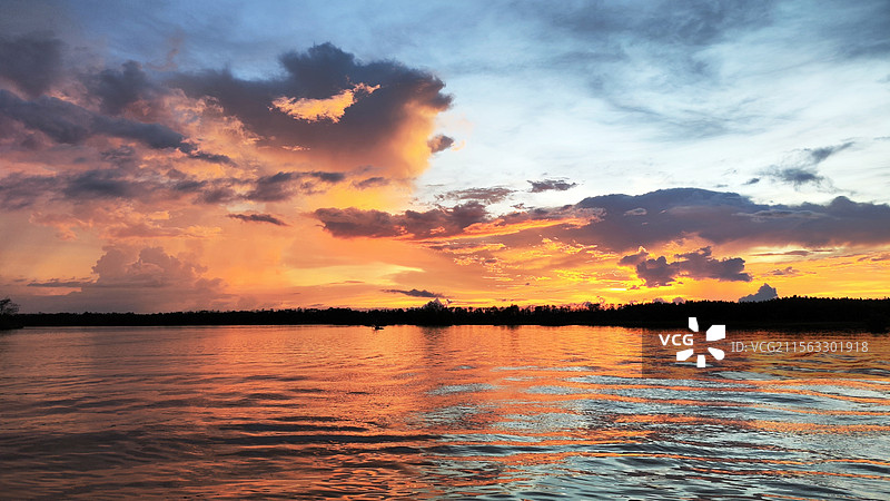 红树林落日晚霞图片素材