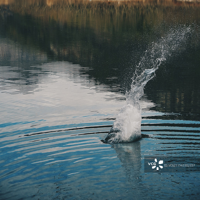 浙江温州楠溪江风景名胜区图片素材