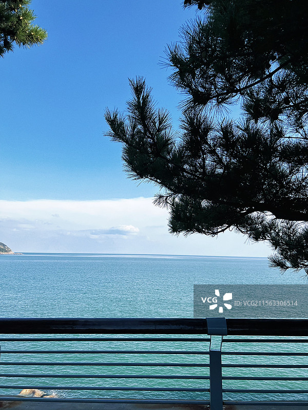 青岛崂山风景区图片素材