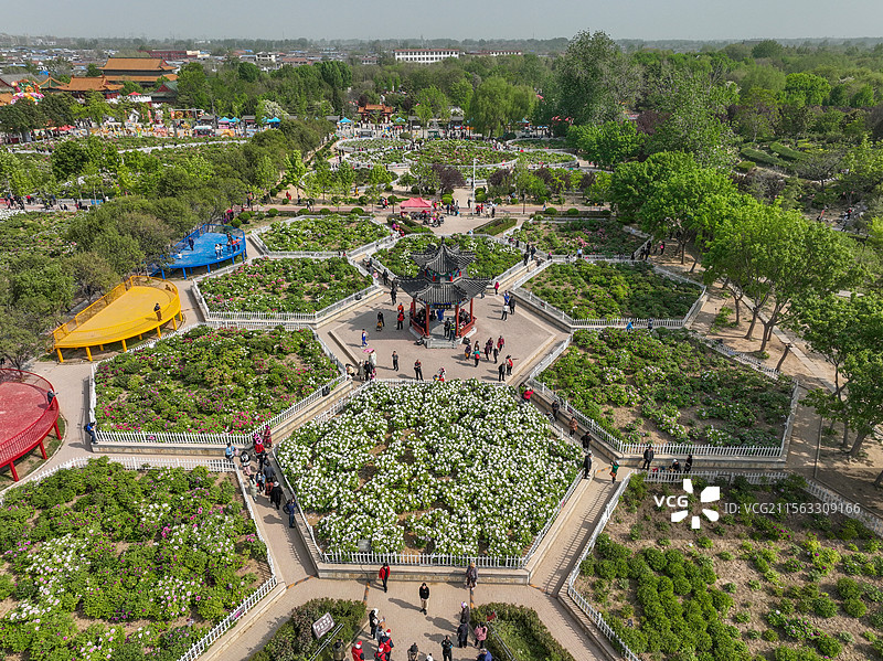 游人如织+山东省菏泽市牡丹区曹州牡丹园图片素材
