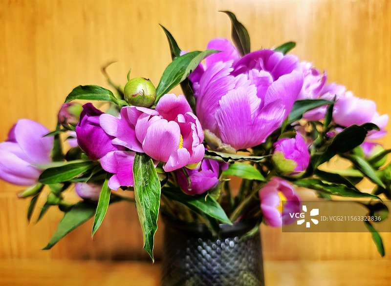 桌上花瓶里芍药花的特写镜头图片素材