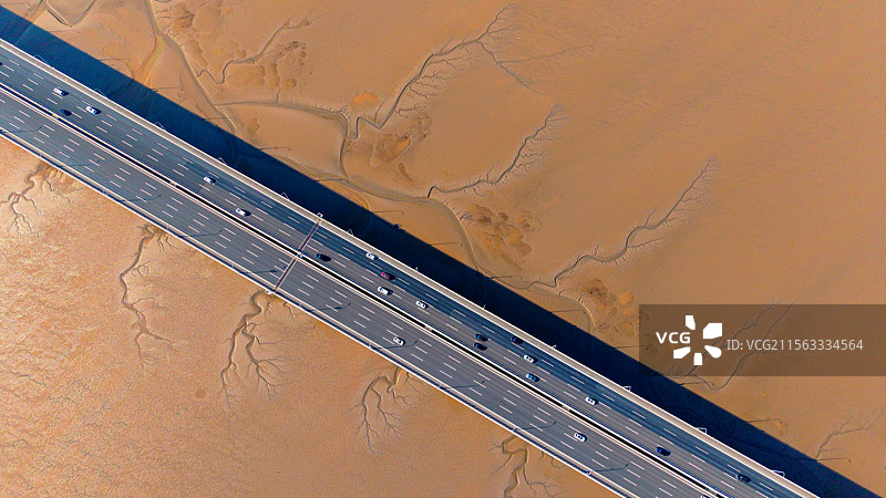 海宁潮汐树与苏绍大桥图片素材