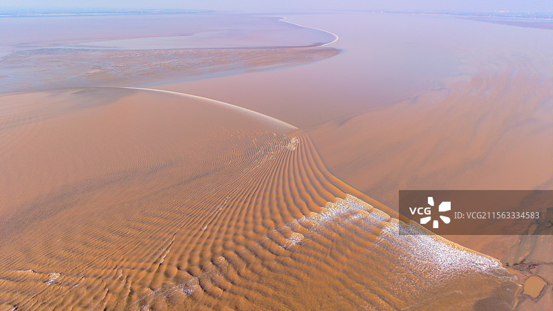 海宁潮汐树与苏绍大桥图片素材