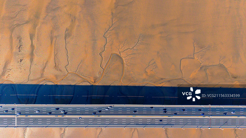 海宁潮汐树与苏绍大桥图片素材