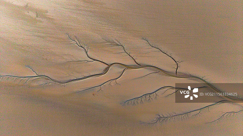 海宁潮汐树与苏绍大桥图片素材