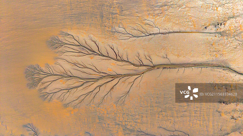 海宁潮汐树与苏绍大桥图片素材