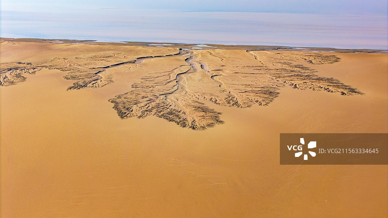 海宁潮汐树与苏绍大桥图片素材