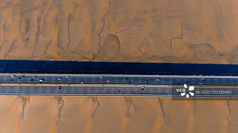 海宁潮汐树与苏绍大桥图片素材