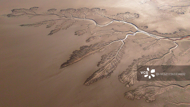 海宁潮汐树与苏绍大桥图片素材