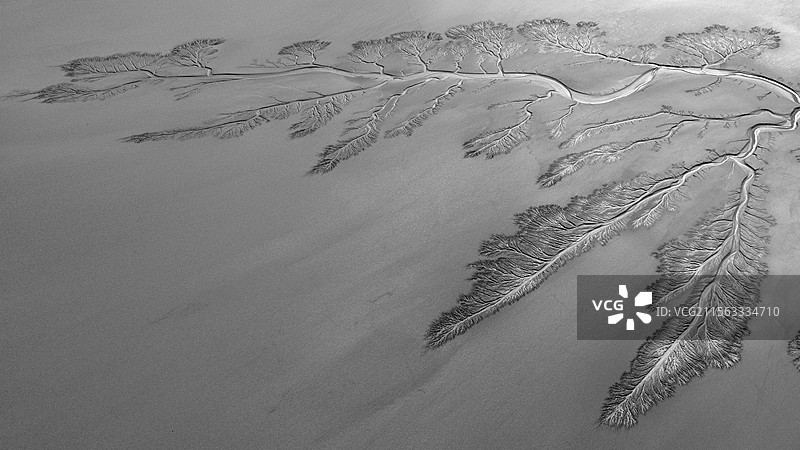 海宁潮汐树与苏绍大桥图片素材