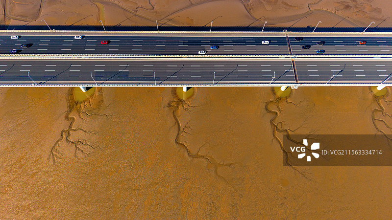 海宁潮汐树与苏绍大桥图片素材