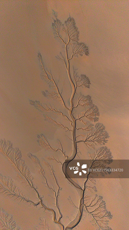 海宁潮汐树与苏绍大桥图片素材