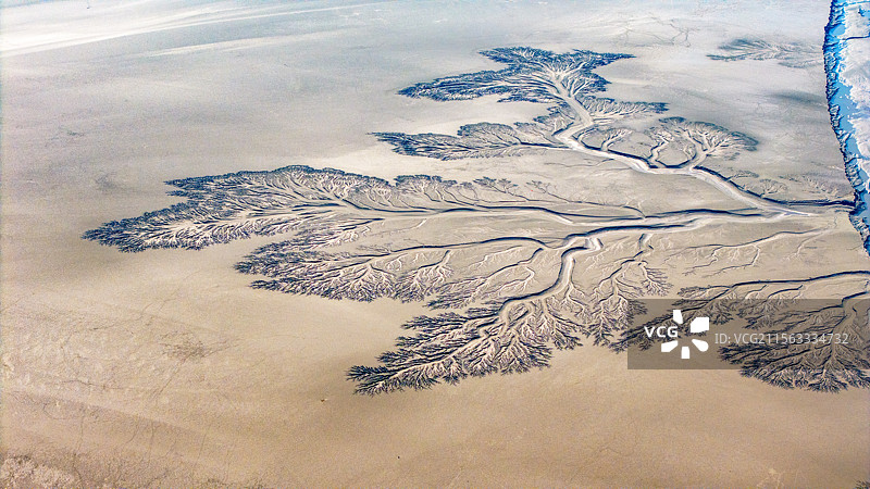 海宁潮汐树与苏绍大桥图片素材