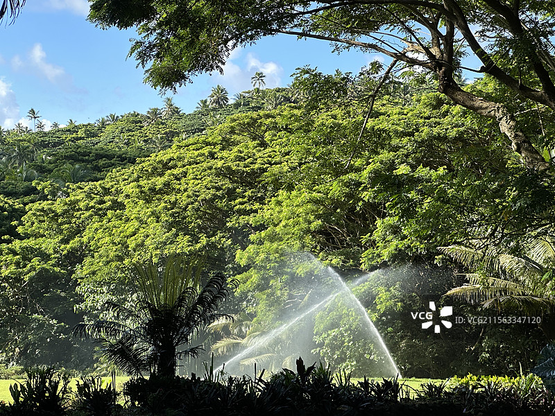 斐济 劳卡拉私人岛 COMO Laucala 蓝天山脉丛林 自动灌溉系统 彩虹 X图片素材