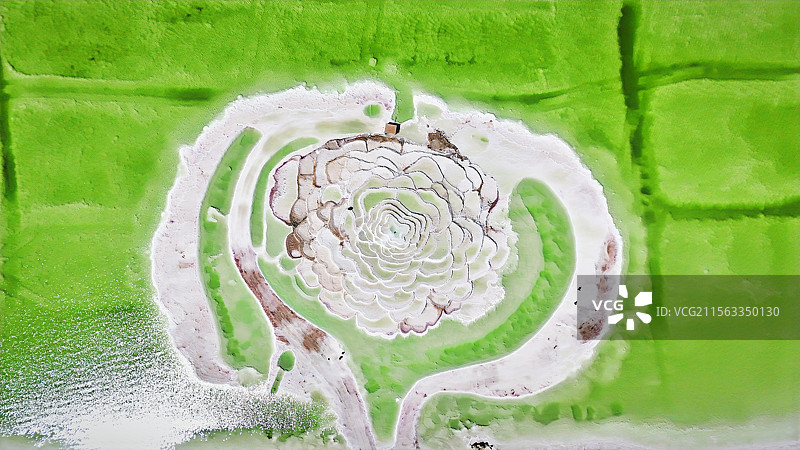 察尔汗盐湖就像是上帝打翻的青苹果汁一样图片素材