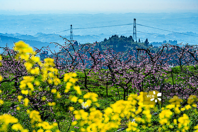 龙泉山桃花林与层层叠叠的山峦图片素材