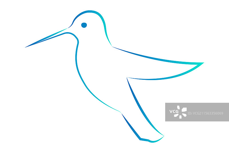 抽象的细线轮廓蜂鸟标志图片素材