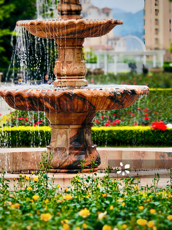 玫瑰园清新玫瑰园，令人心旷神怡的美景。图片素材