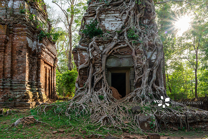 柬埔寨重要旅游景区世界文化遗产贡开遗址附近的普拉姆寺（Prasat Pram）被树根缠绕的塔庙图片素材