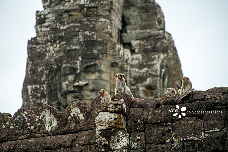 柬埔寨暹粒著名旅游景区世界文化遗产吴哥古迹中的巴戎寺庙塔上的四面佛（梵天）形象和猴群图片素材