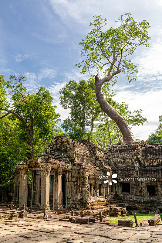 柬埔寨著名旅游景区世界文化遗产吴哥古迹中建于12世纪的塔布隆寺入口处的塔门和四数木景观图片素材